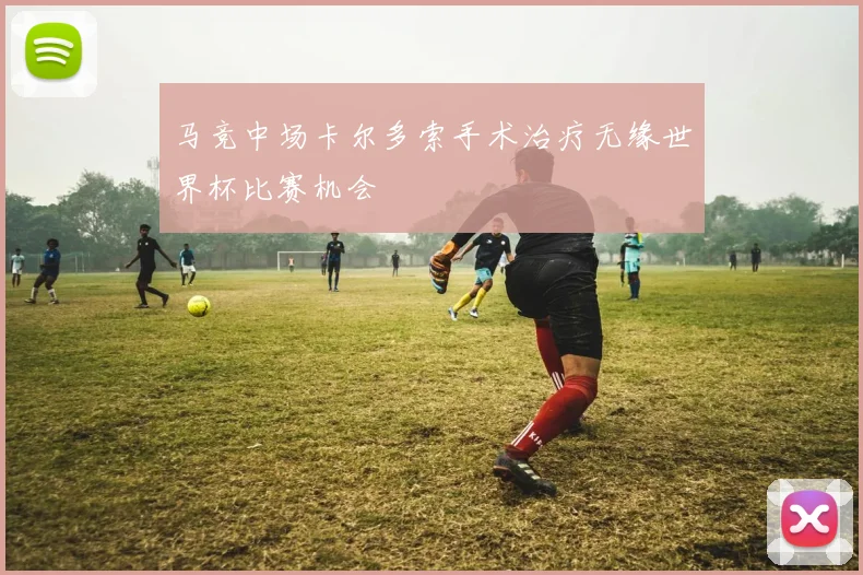 马竞中场卡尔多索手术治疗无缘世界杯比赛机会